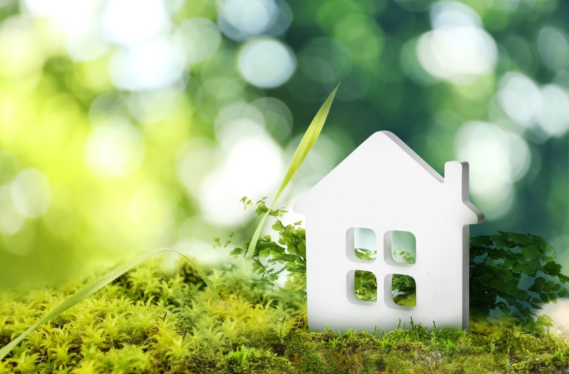 How to Reduce the Environmental Impact of Your Dorset Home How to Reduce the Environmental Impact of Your Dorset Home