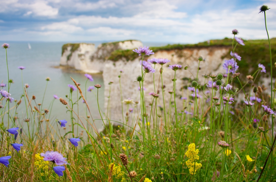 Enjoy the best of Dorset this spring Enjoy the best of Dorset this spring