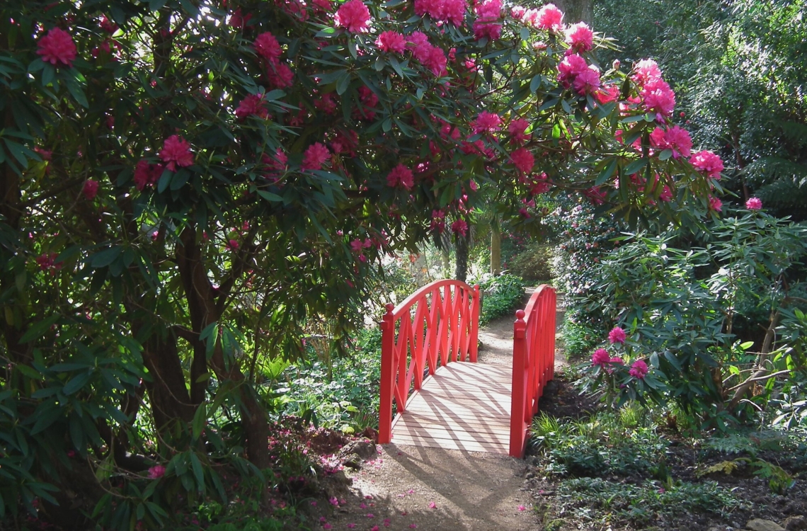 A Guide to Spring Adventures in Dorset