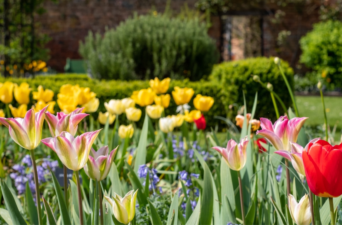 Make the most of Spring � it�s Selling Season!