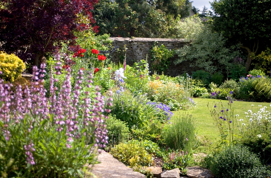 Transform Your Summer Garden on a Budget: Creative Ideas and Expert Tips