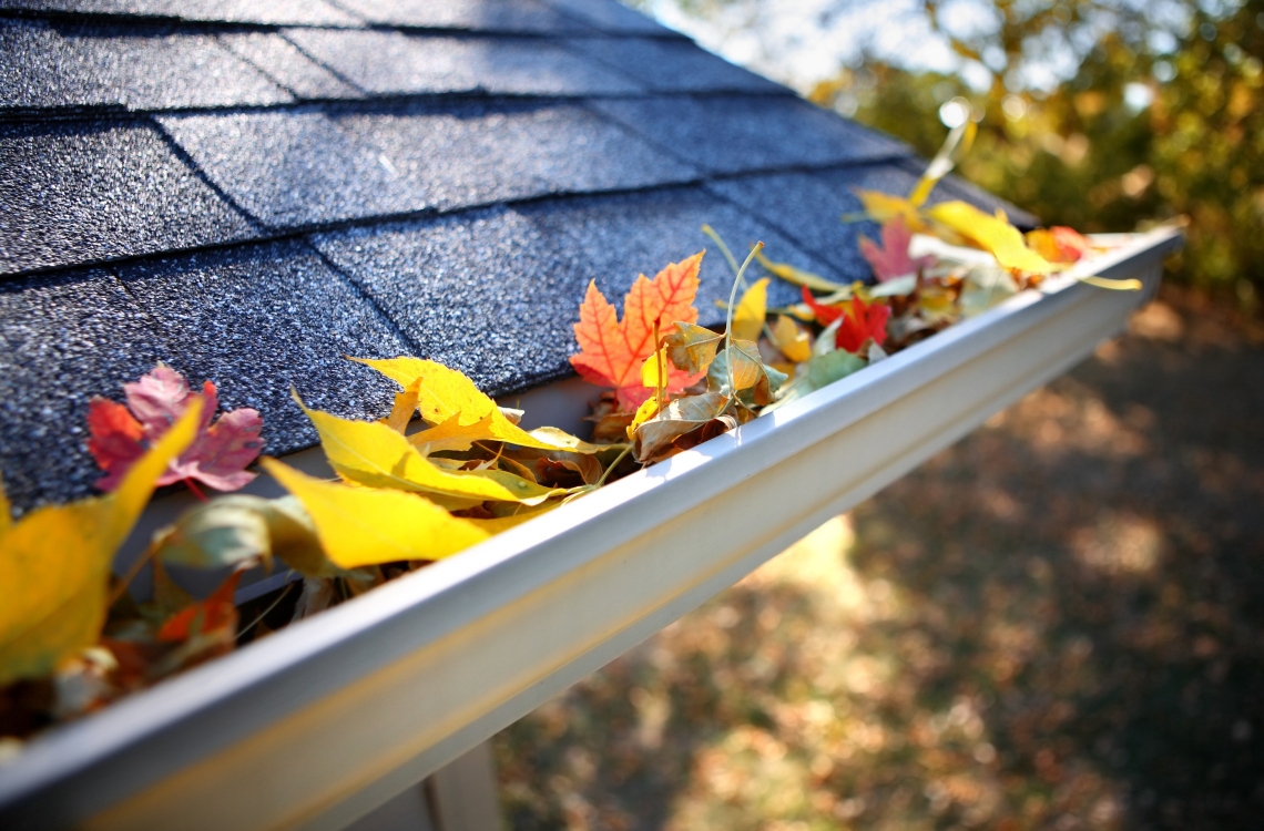 Autumn Jobs: How to Prepare your Home and Garden for Autumn