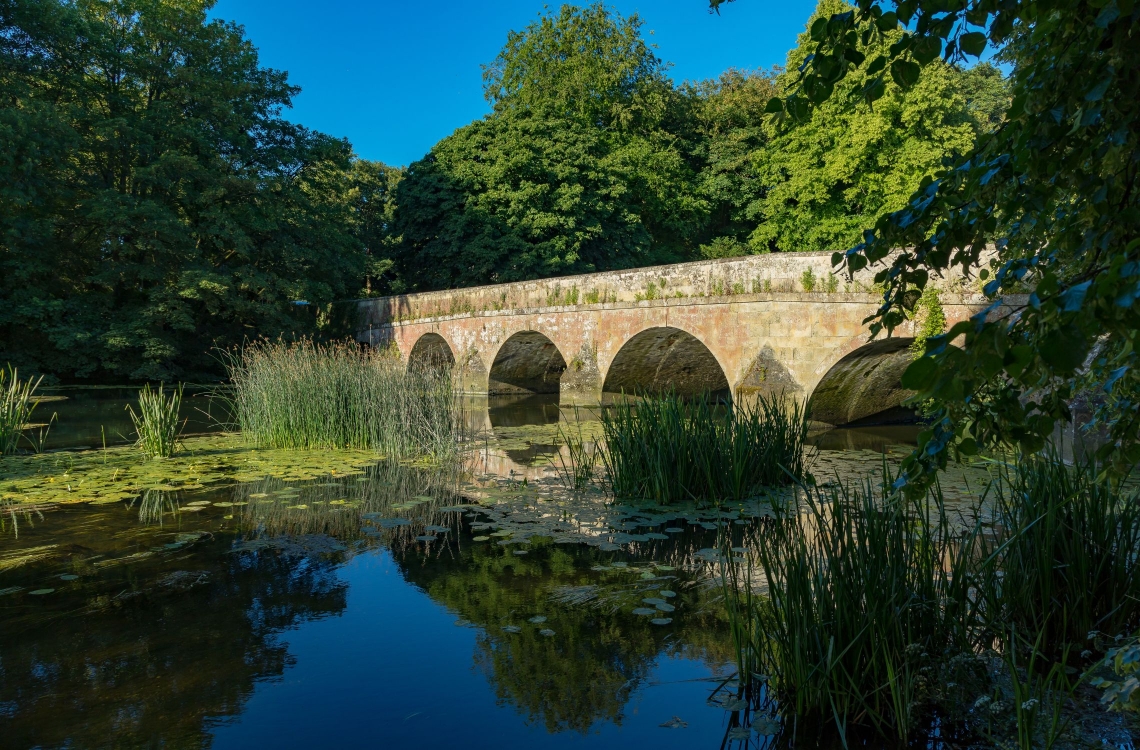 Why Dorset is the Perfect Place to Call Home in 2026 Why Dorset is the Perfect Place to Call Home in 2026